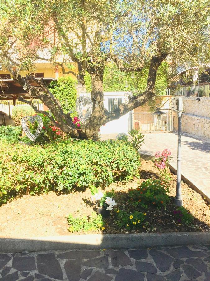 B&B Il Piu Bello San Salvo Eksteriør bilde